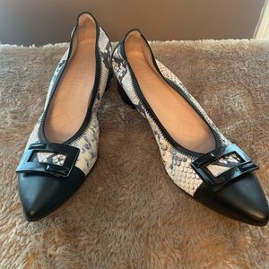 Hispanitas pump, sz 41, NWOT